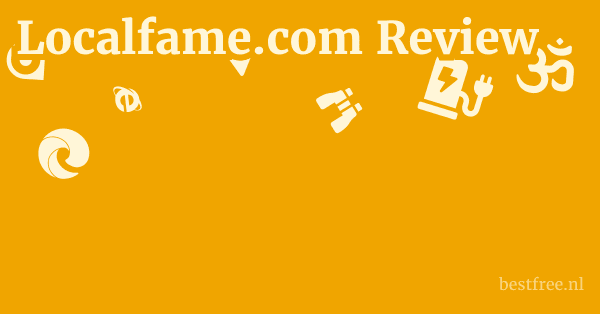 Localfame.com Review 1 by BestFREE.nl