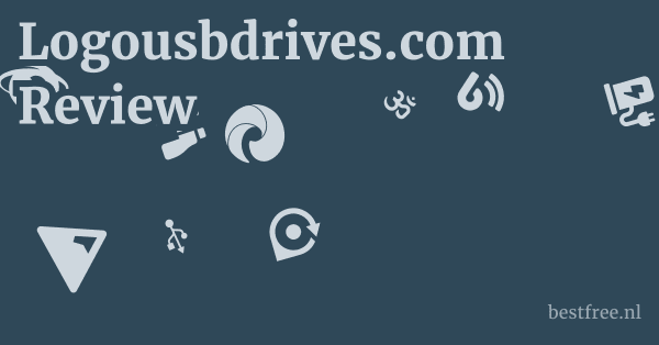 Logousbdrives.com Review 1 by BestFREE.nl