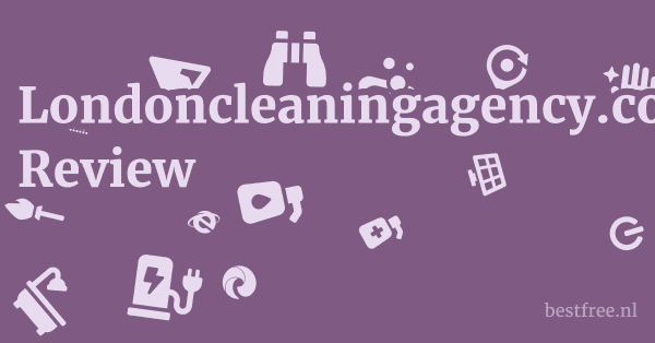 Londoncleaningagency.co.uk Review 1 by BestFREE.nl