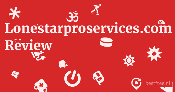 Lonestarproservices.com Review 1 by BestFREE.nl