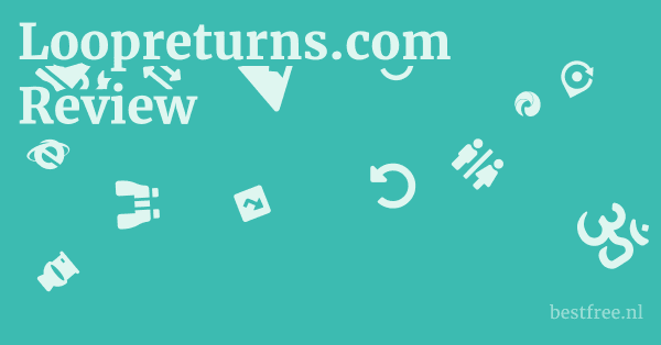 Loopreturns.com Review 1 by BestFREE.nl