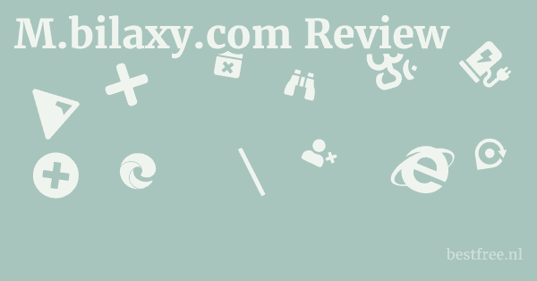 M.bilaxy.com Review 1 by BestFREE.nl