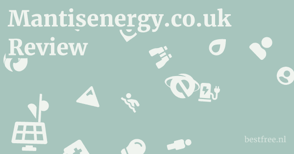 Mantisenergy.co.uk Review 1 by BestFREE.nl