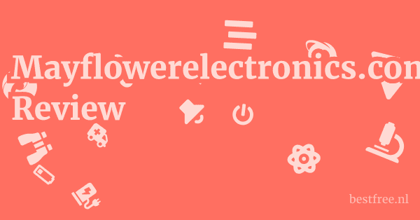 Mayflowerelectronics.com Review 1 by BestFREE.nl