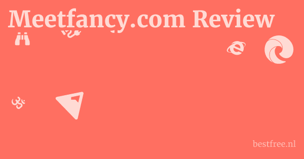 Meetfancy.com Review 1 by BestFREE.nl