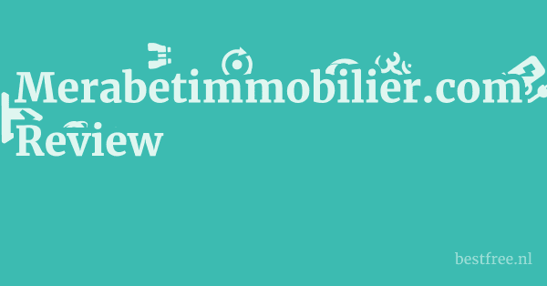 Merabetimmobilier.com Review 1 by BestFREE.nl