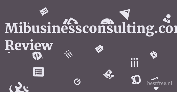 Mibusinessconsulting.com Review 1 by BestFREE.nl