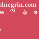 Michalnegrin.com Review 11 by BestFREE.nl