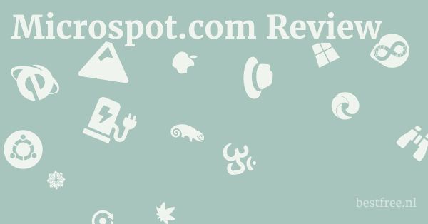 Microspot.com Review 1 by BestFREE.nl