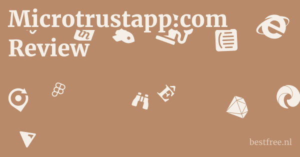 Microtrustapp.com Review 1 by BestFREE.nl