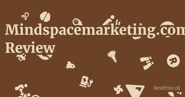 Mindspacemarketing.com Review 1 by BestFREE.nl