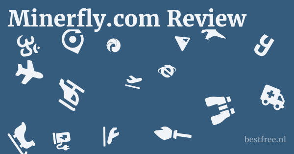 Minerfly.com Review 1 by BestFREE.nl
