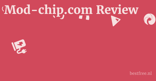 Mod-chip.com Review 1 by BestFREE.nl