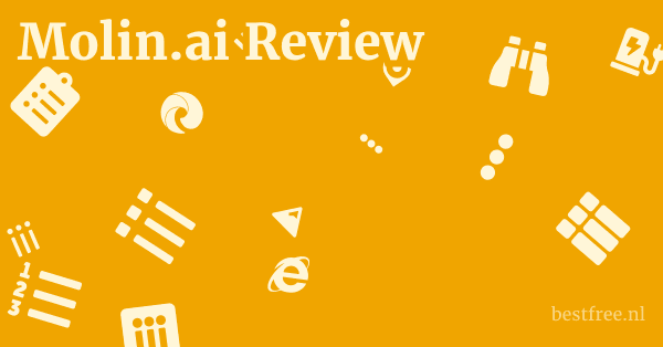 Molin.ai Review 1 by BestFREE.nl