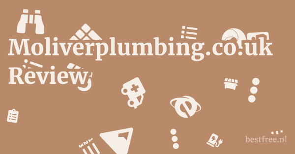 Moliverplumbing.co.uk Review 1 by BestFREE.nl