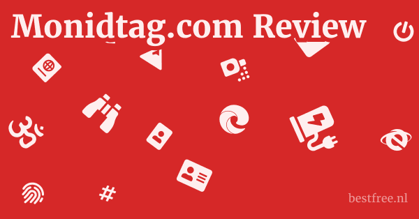 Monidtag.com Review 1 by BestFREE.nl