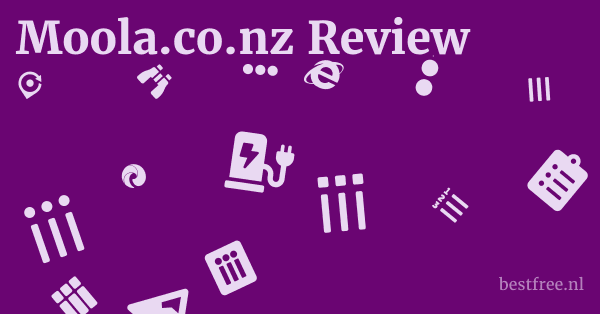 Moola.co.nz Review