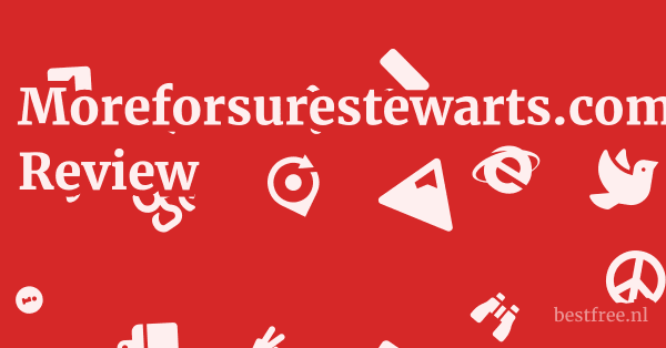Moreforsurestewarts.com Review 1 by BestFREE.nl