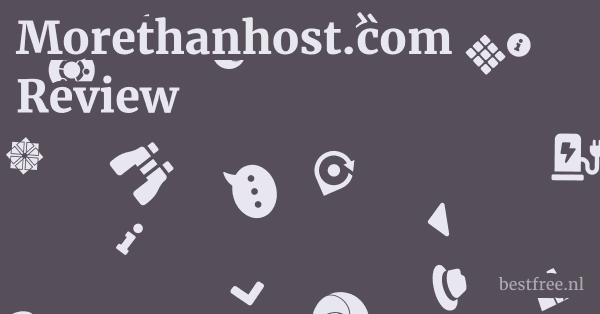 Morethanhost.com Review 1 by BestFREE.nl