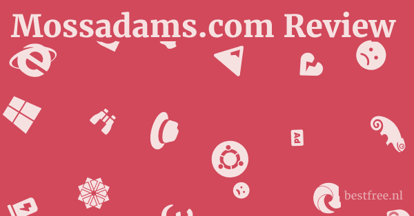 Mossadams.com Review 1 by BestFREE.nl