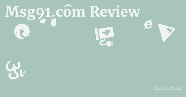 Msg91.com Review 1 by BestFREE.nl