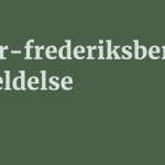 Murer-frederiksberg.dk Anmeldelse 7 by BestFREE.nl