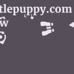 Mylittlepuppy.com Review 11 by BestFREE.nl