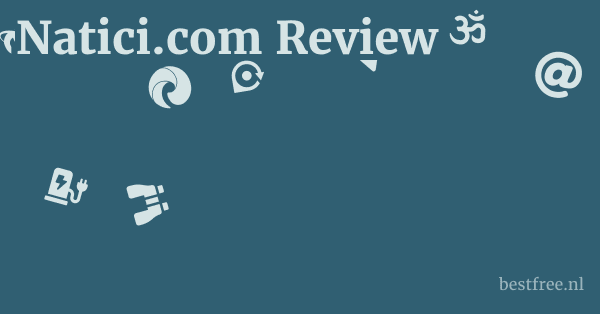 Natici.com Review 1 by BestFREE.nl