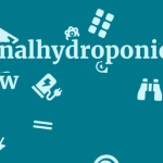 Nationalhydroponics.co.uk Review 7 by BestFREE.nl