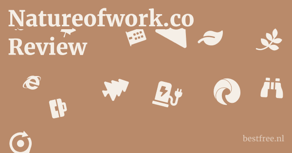 Natureofwork.co Review 1 by BestFREE.nl