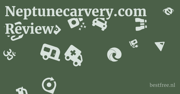 Neptunecarvery.com Review 1 by BestFREE.nl