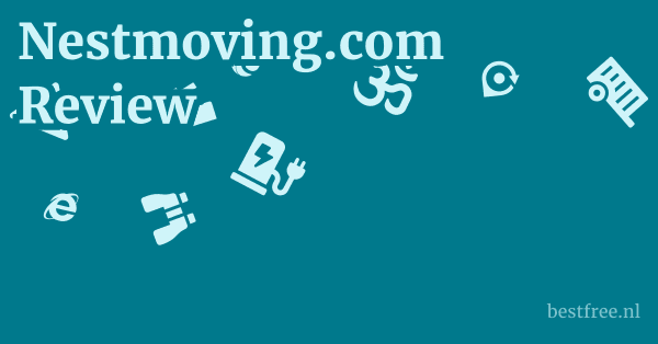 Nestmoving.com Review 1 by BestFREE.nl