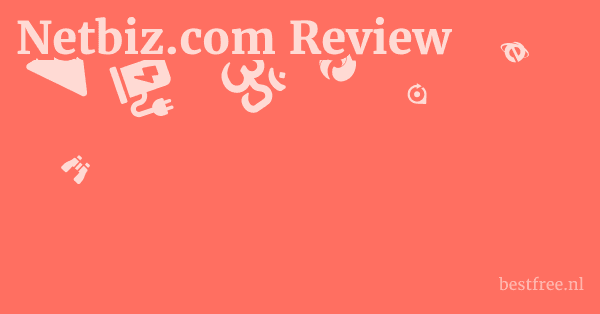 Netbiz.com Review 1 by BestFREE.nl