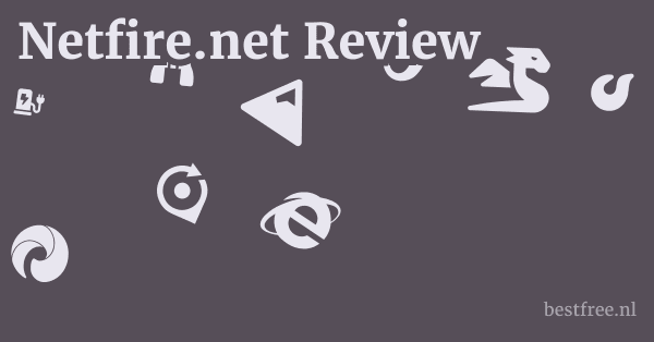 Netfire.net Review 1 by BestFREE.nl