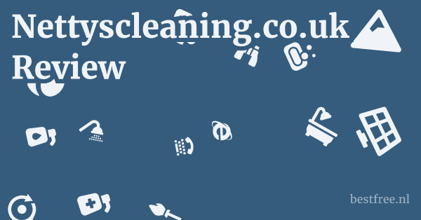 Nettyscleaning.co.uk Review 1 by BestFREE.nl