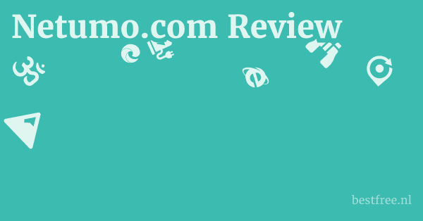 Netumo.com Review 1 by BestFREE.nl
