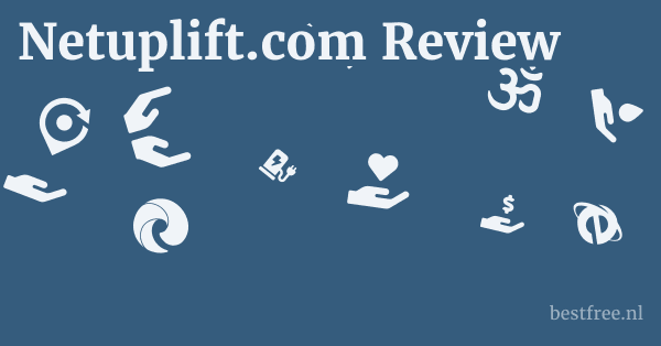 Netuplift.com Review 1 by BestFREE.nl