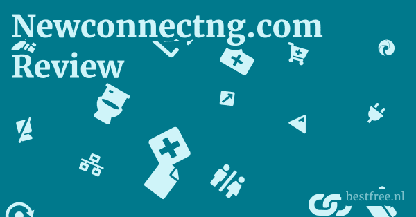 Newconnectng.com Review 1 by BestFREE.nl