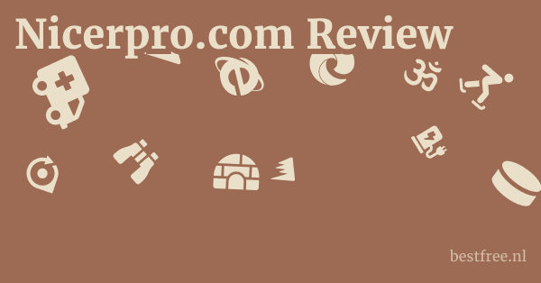 Nicerpro.com Review 1 by BestFREE.nl