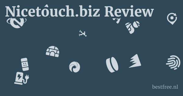 Nicetouch.biz Review 1 by BestFREE.nl