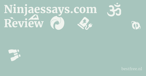 Ninjaessays.com Review 1 by BestFREE.nl
