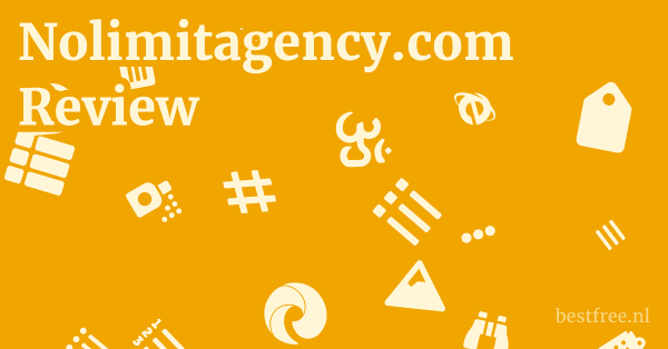Nolimitagency.com Review 1 by BestFREE.nl