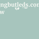 Nothingbutleds.com Review 3 by BestFREE.nl