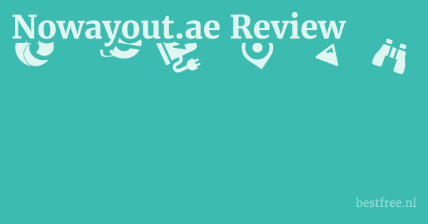 Nowayout.ae Review 1 by BestFREE.nl
