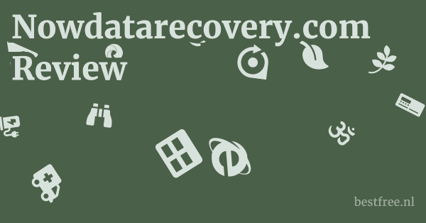 Nowdatarecovery.com Review 1 by BestFREE.nl