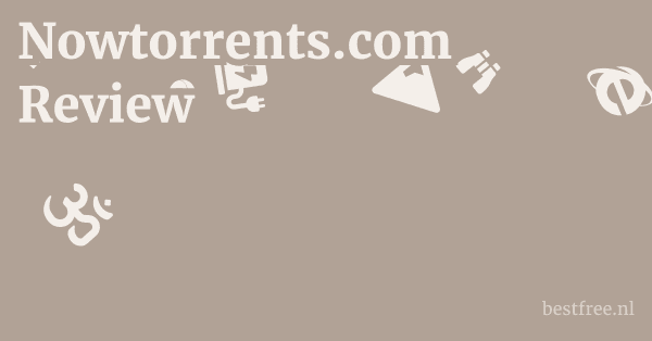 Nowtorrents.com Review 1 by BestFREE.nl