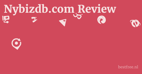 Nybizdb.com Review 1 by BestFREE.nl