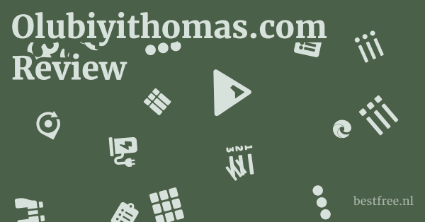 Olubiyithomas.com Review 1 by BestFREE.nl