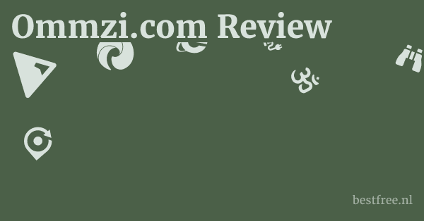 Ommzi.com Review 1 by BestFREE.nl
