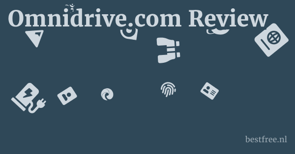 Omnidrive.com Review 1 by BestFREE.nl
